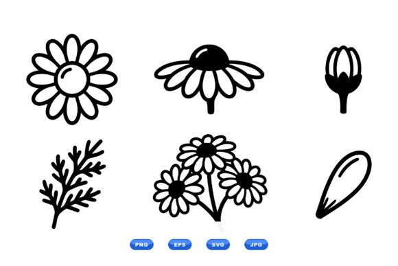 Daisy Line Art Clipart Set: Graphics for Botanical Illustrations