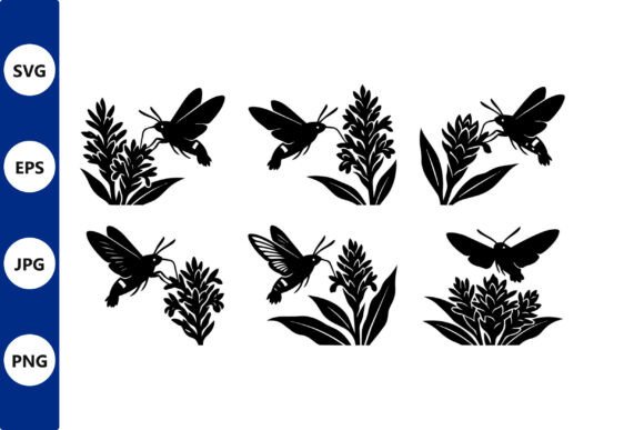 Hummingbird Silhouettes Lupine Plant Graphics