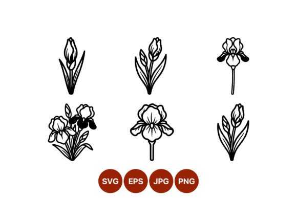 Iris Flower Vector Black and White